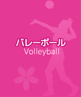 バレーボール