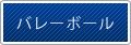 バレーボール
